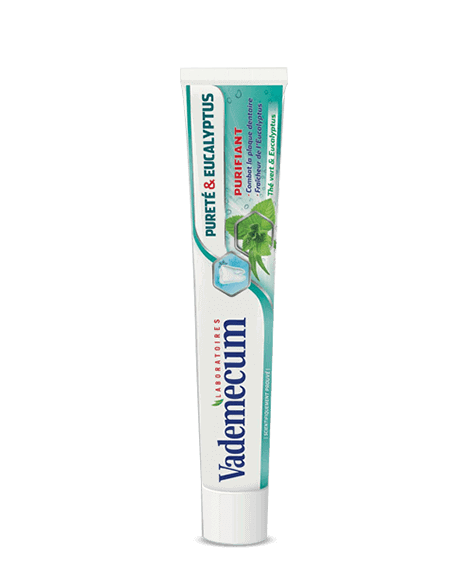 VADEMECUM Purity and Eucalyptus Toothpaste gel - SIVOP